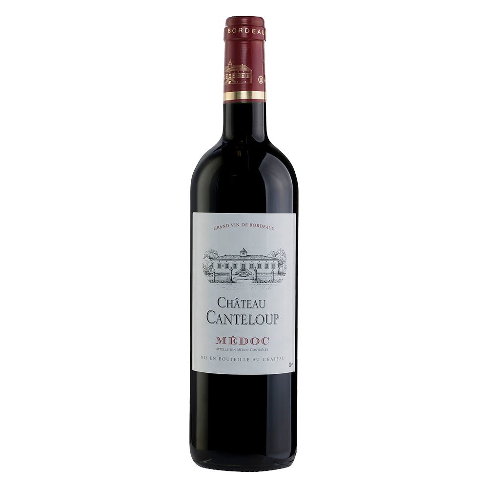 Chateau Canteloup Medoc 2019 - Kosher Wine World – KosherWineWorld.com