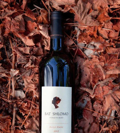 Bat Shlomo Winery: Unveiling the Heritage of Israeli Winemaking