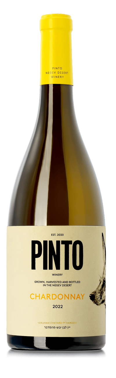 Pinto Chardonnay 2023 - KosherWineWorld.com