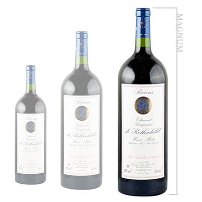 Barons Edmond Benjamin De Rothschild Haut Medoc Magnum 2019 - Kosher Wine World