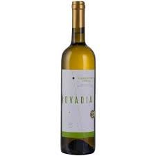 Bartenura Ovadia Vermentino Umbria 2021 - Kosher Wine World