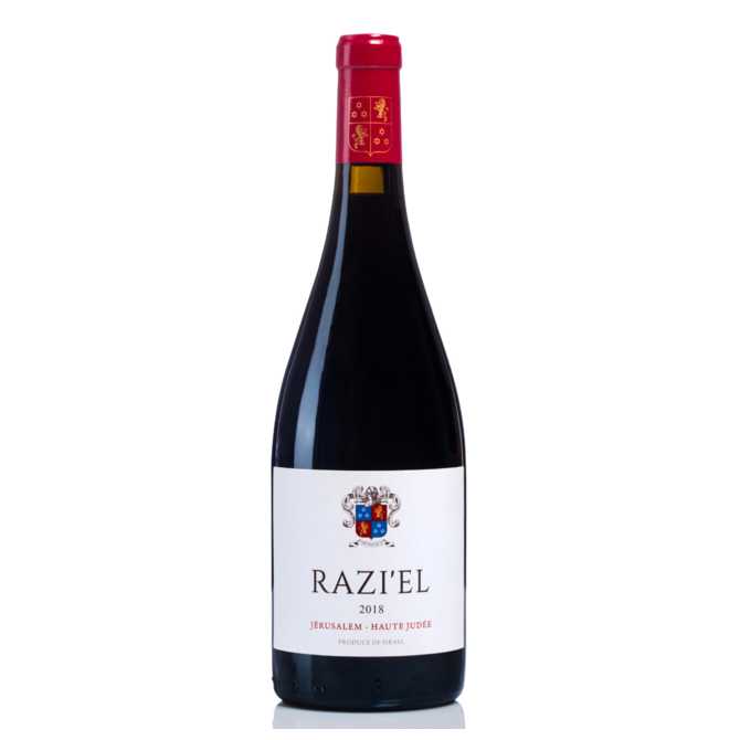 Castel Raziel Syrah & Carignan 2019 - Kosher Wine World