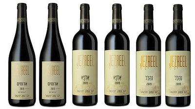 Emek Jezreel Winery Six Red wine case - Kosher Wine World