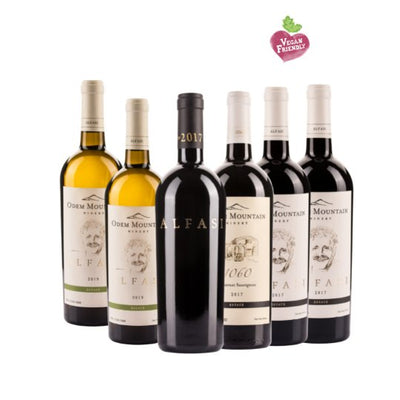 Odem Mountain Golden series six bottle case - Kosher Wine World