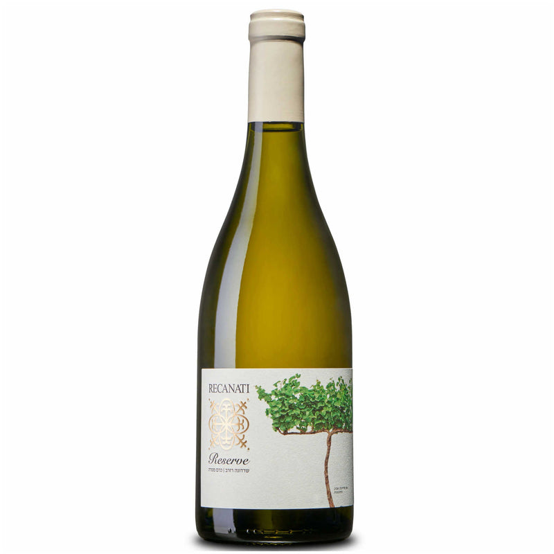 Recanati Reserve Chardonnay 2019 - Kosher Wine World