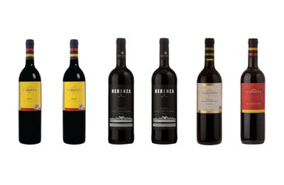 Rioja Spain six bottle case - Kosher Wine World